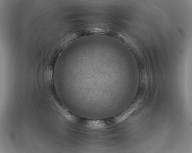 X0000112090281200908041456