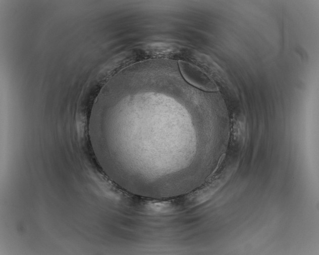 X0000112090283200908041457