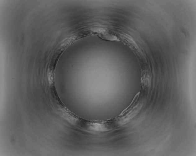 X0000112090285200908041457