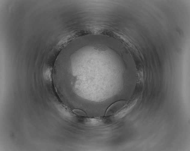 X0000112090286200908041457