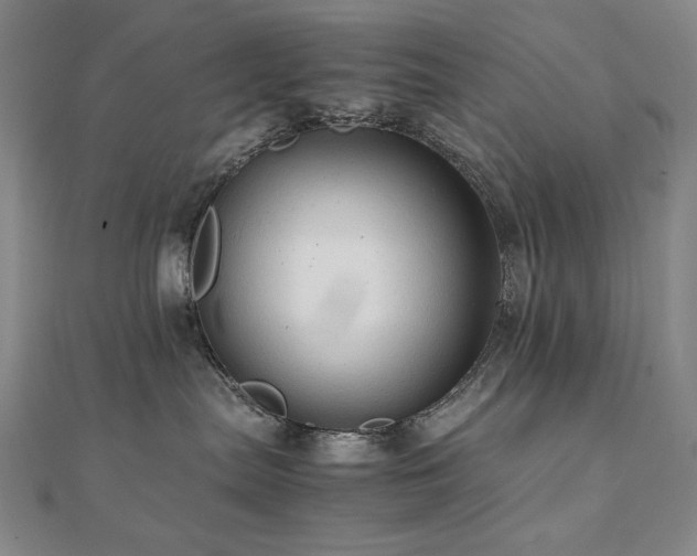 X0000112090287200908041457