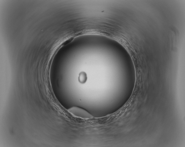 X0000112090289200908041456
