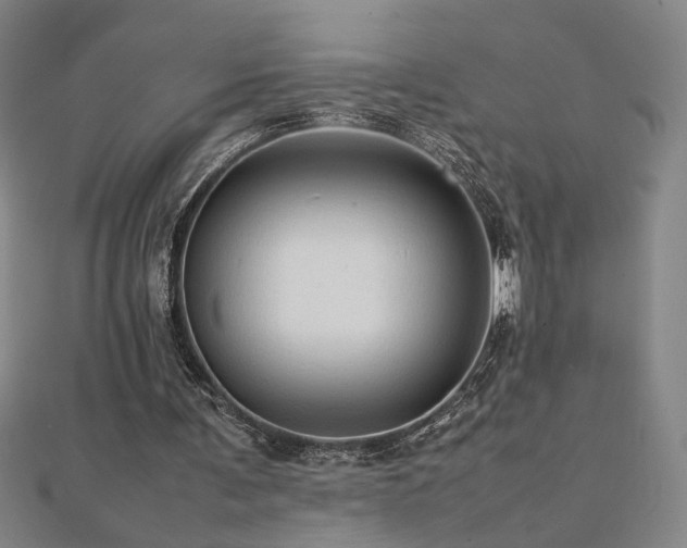 X0000112090291200908041456