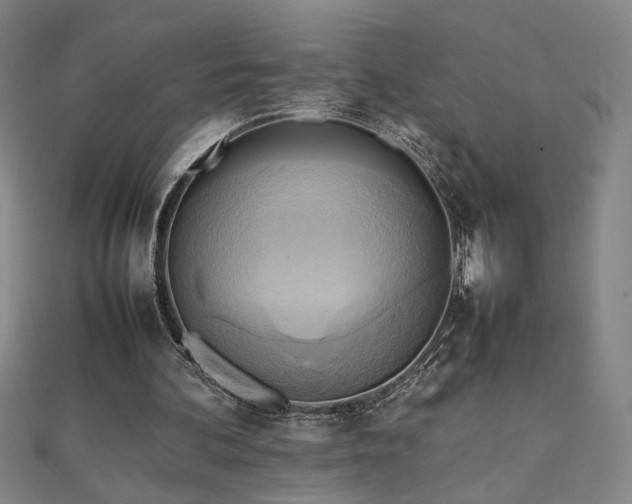 X0000112090292200908041456