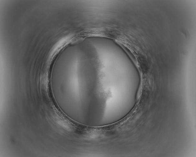 X0000112090293200908041456
