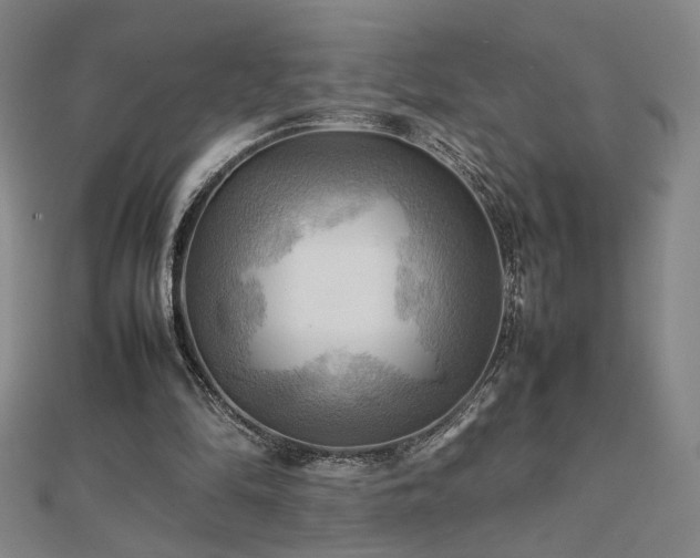 X0000112090294200908041456