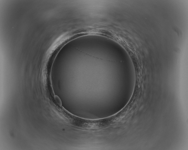 X0000112090295200908041456