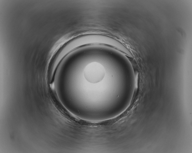 X0000112090296200908041456