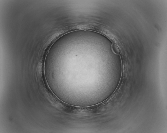 X0000112090297200908041456