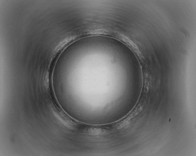 X0000112090298200908041456