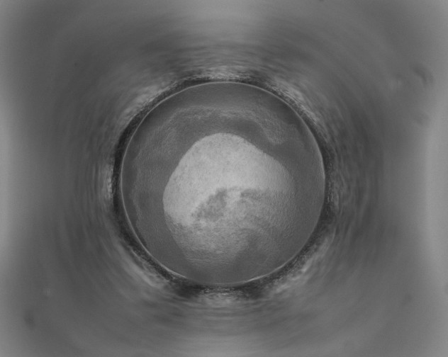 X0000112090299200908041456