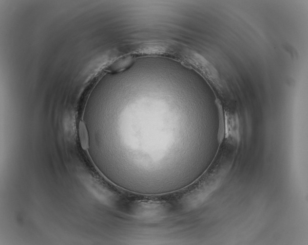 X0000112090300200908041456