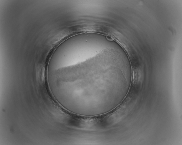 X0000112090301200908041456