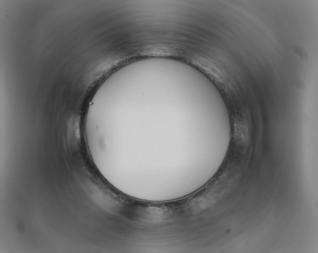 X0000112090302200908041456