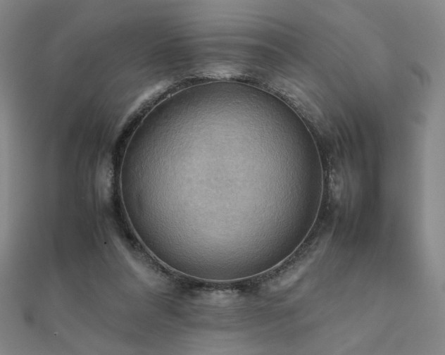 X0000112090304200908041456
