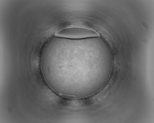 X0000112090305200908041456
