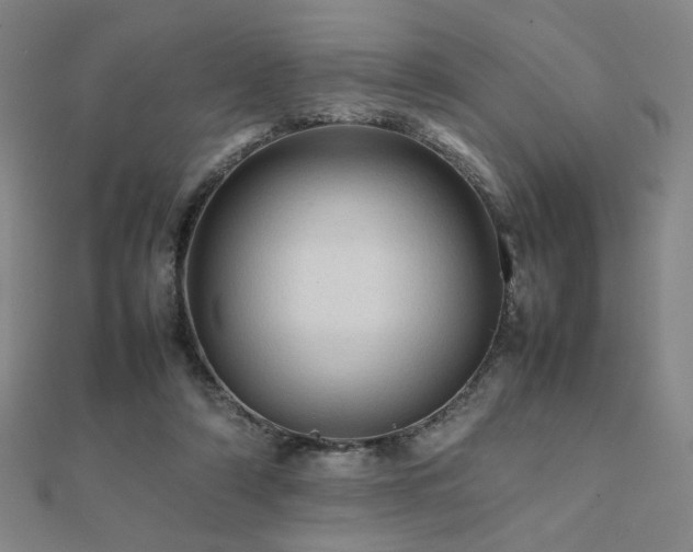 X0000112090306200908041456