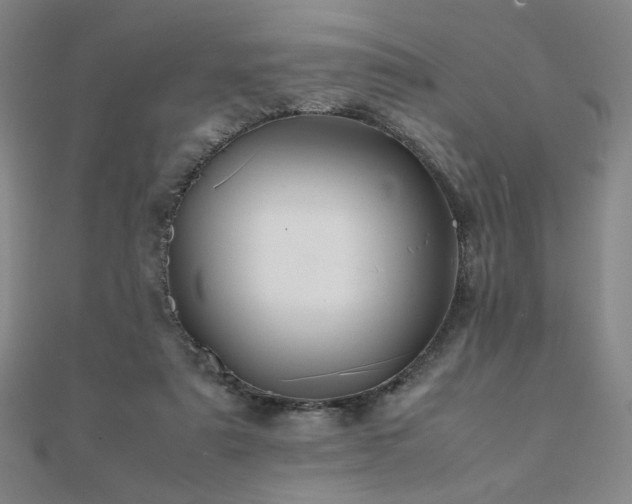 X0000112090307200908041456