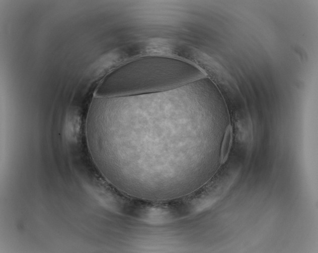 X0000112090308200908041456