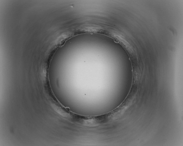 X0000112090309200908041456