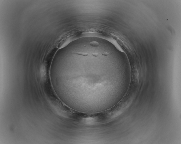 X0000112090312200908041456