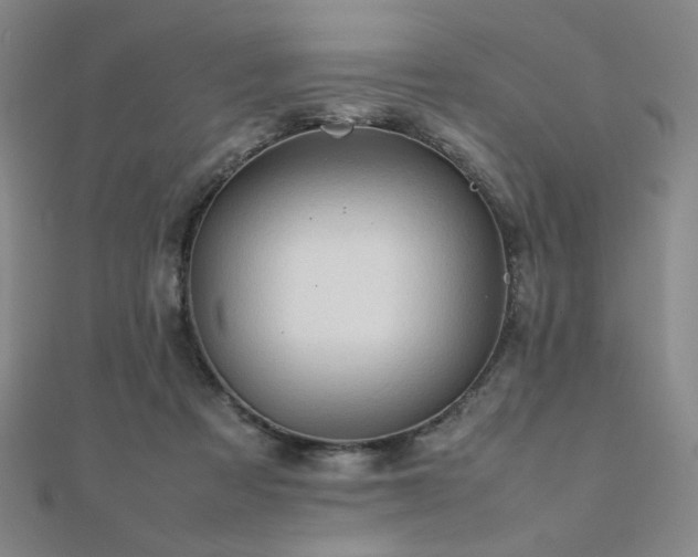 X0000112090313200908041456