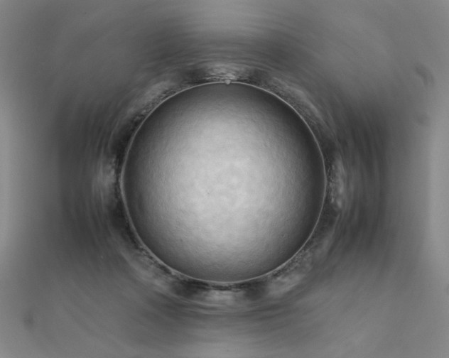 X0000112090314200908041456