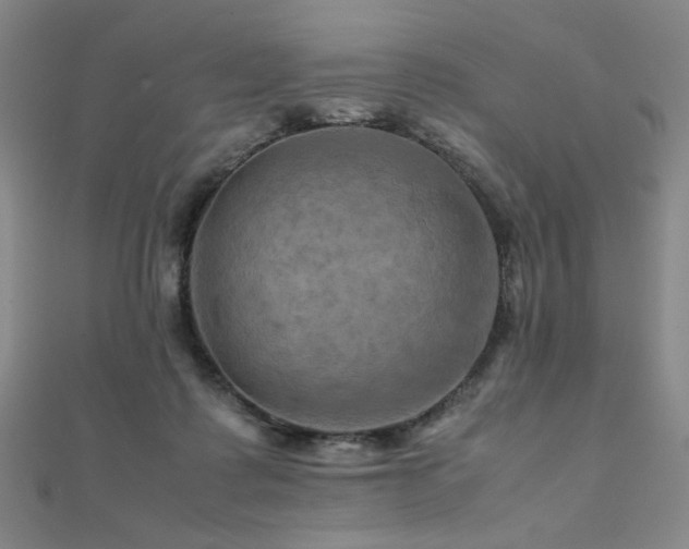 X0000112090315200908041456