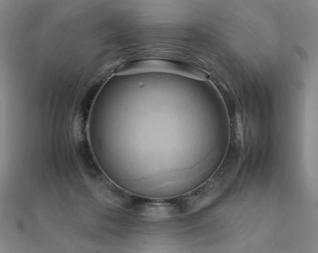 X0000112090316200908041456