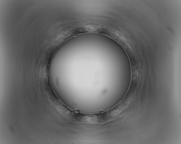 X0000112090317200908041456