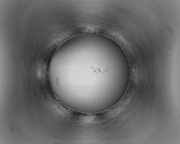 X0000112090318200908041456