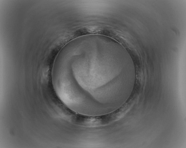 X0000112090319200908041456