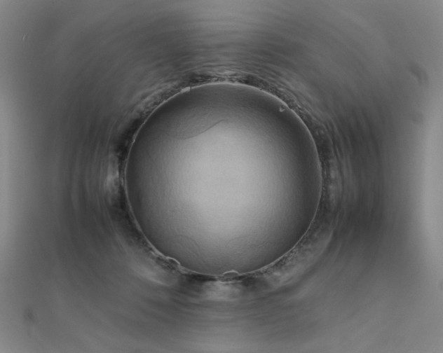 X0000112090320200908041456