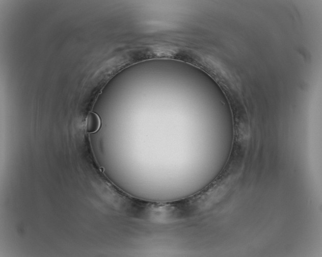 X0000112090321200908041456