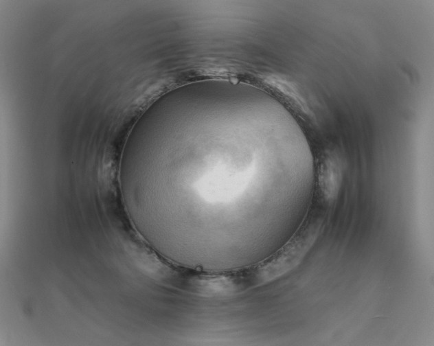 X0000112090322200908041456