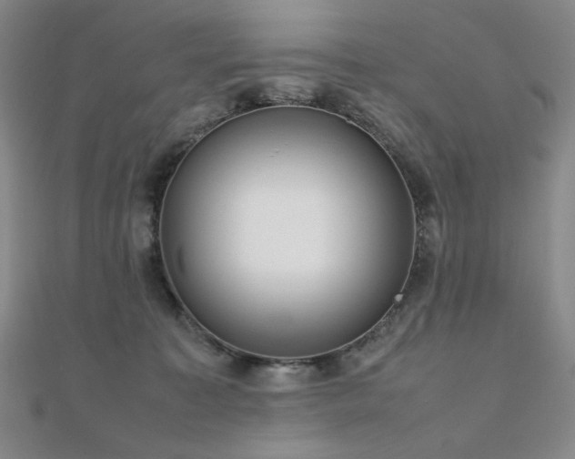 X0000112090323200908041456