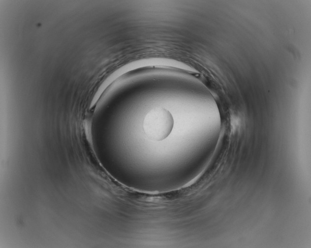 X0000112090324200908041456