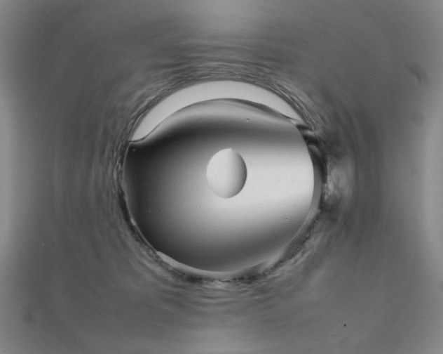 X0000112090325200908041456