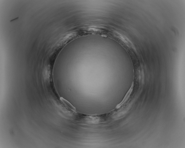 X0000112090328200908041455