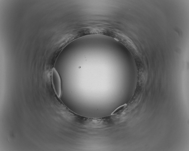 X0000112090329200908041455