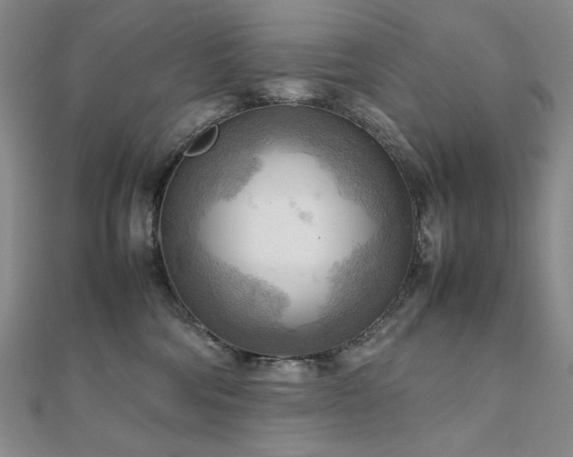 X0000112090330200908041455