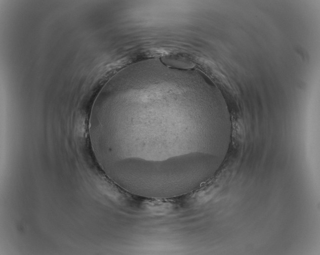 X0000112090331200908041455