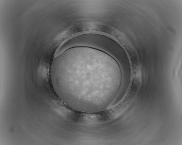 X0000112090332200908041455