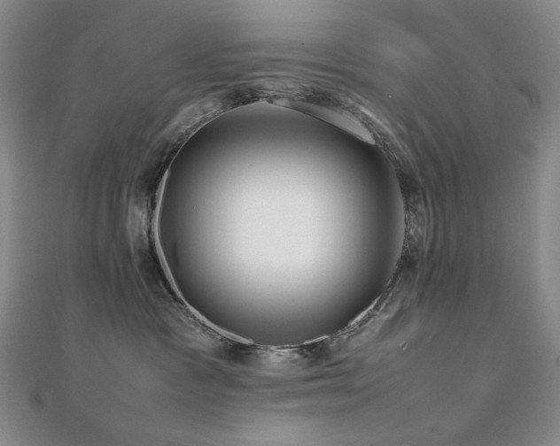 X0000112090333200908041455