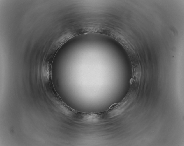 X0000112090334200908041455