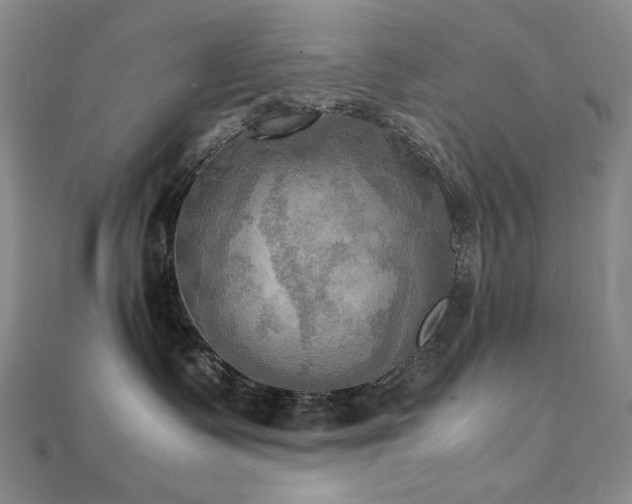 X0000112090335200908041455