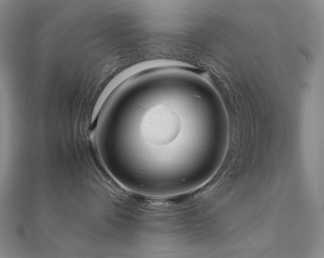 X0000112090336200908041455