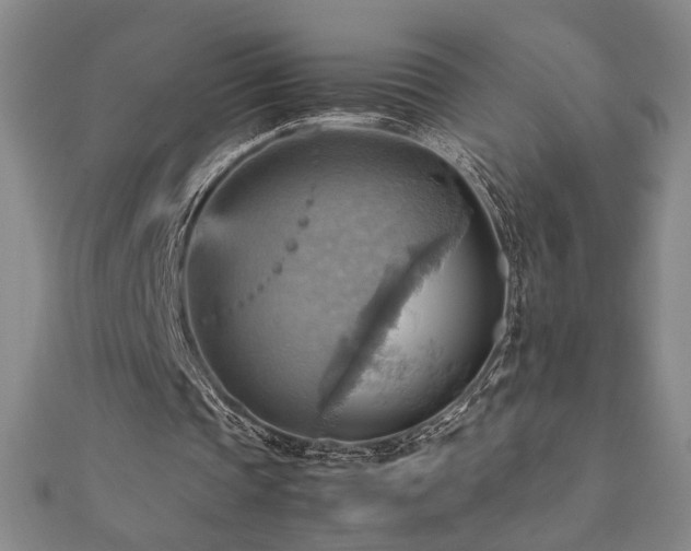 X0000112090337200908041455