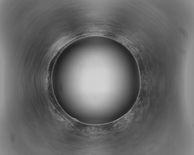 X0000112090338200908041455