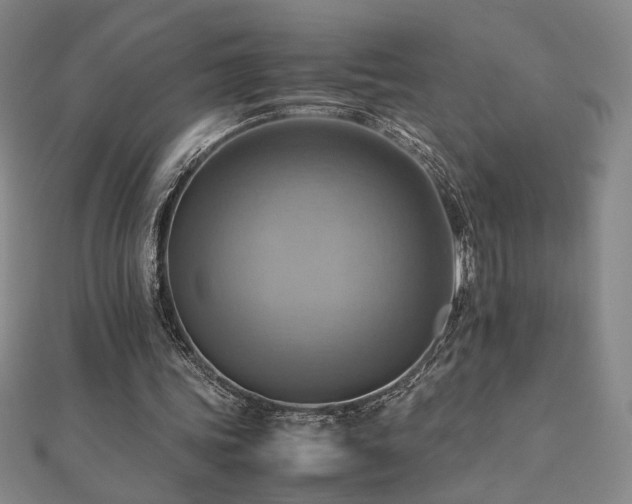X0000112090339200908041455